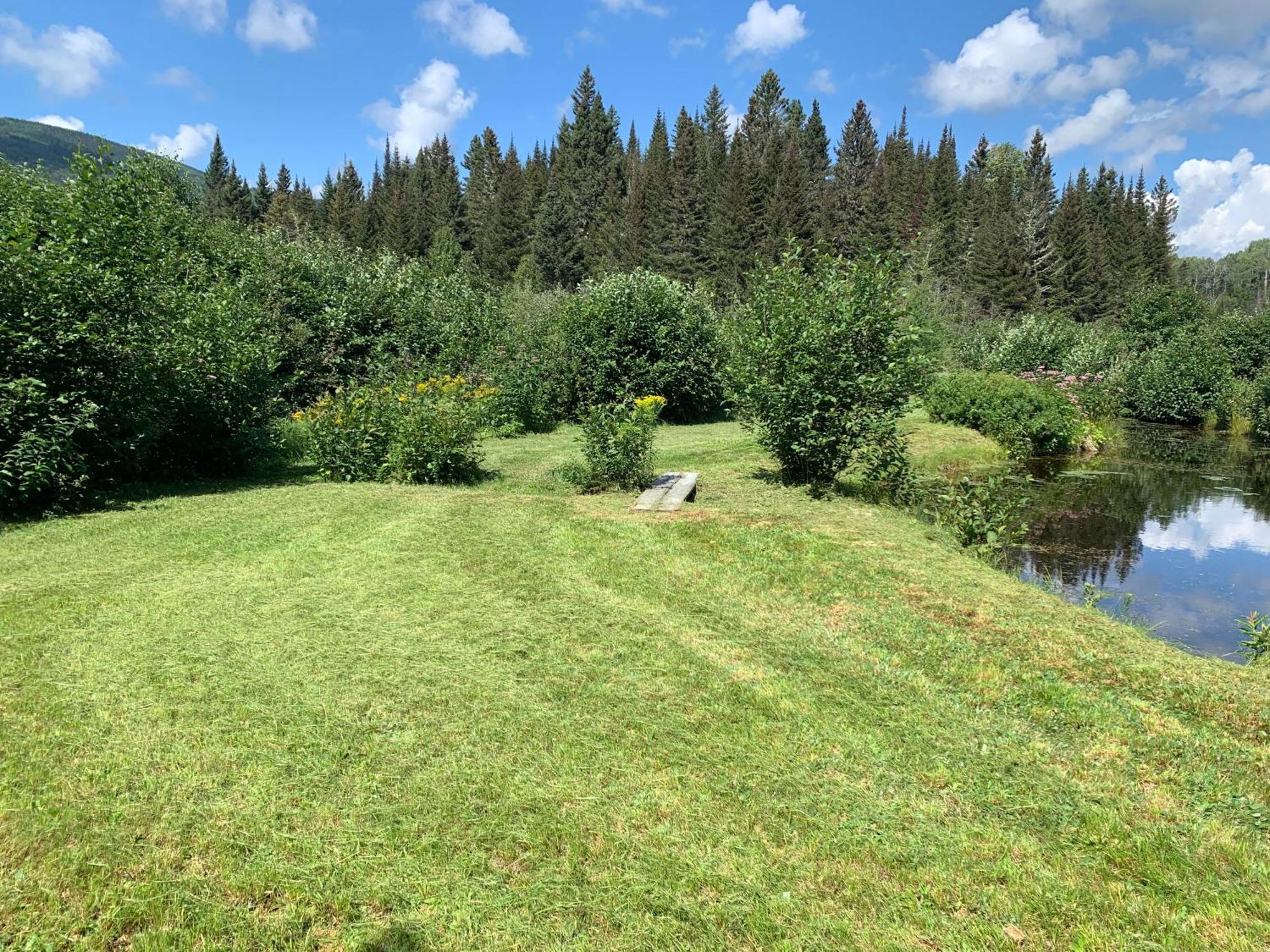 Le Ti Moose Villa La Malbaie Eksteriør billede