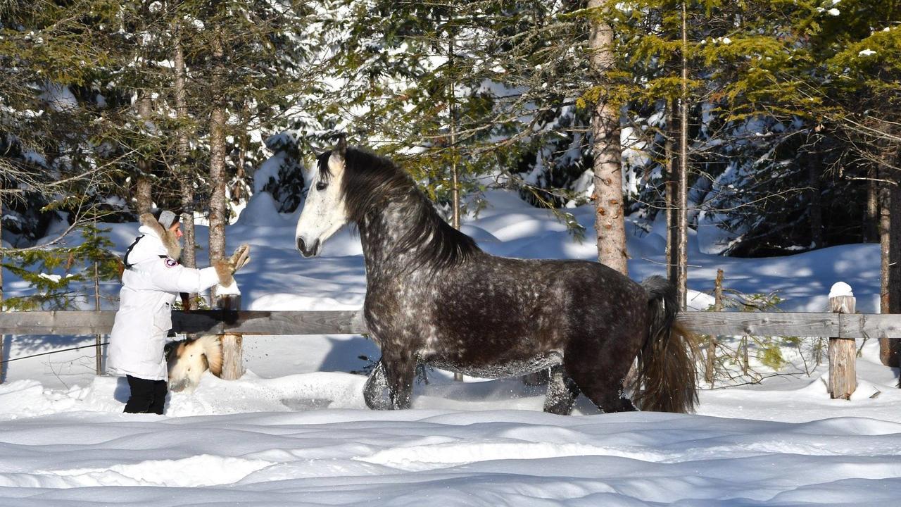 Le Ti Moose Villa La Malbaie Eksteriør billede