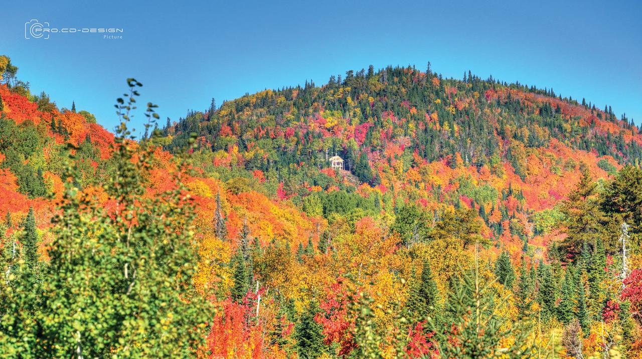 Le Ti Moose Villa La Malbaie Eksteriør billede