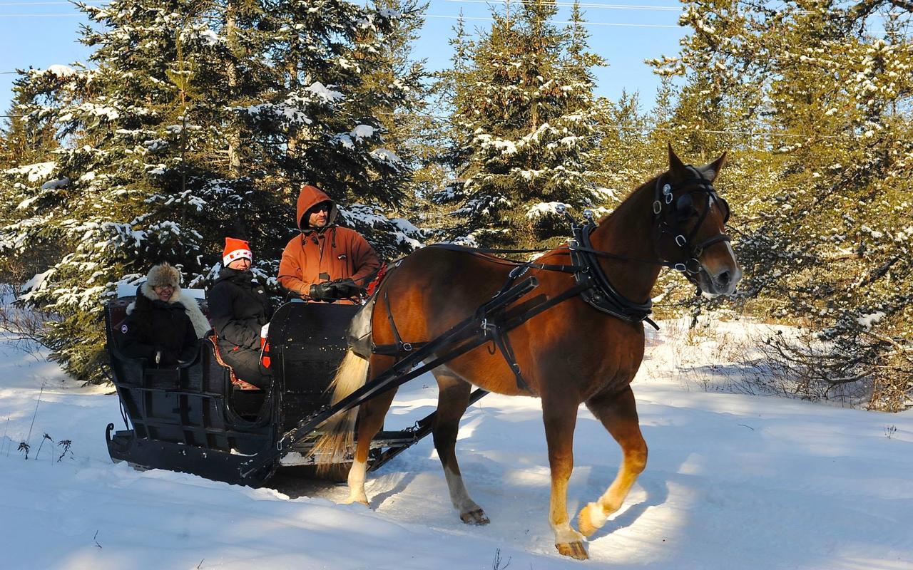Le Ti Moose Villa La Malbaie Eksteriør billede